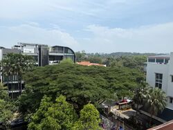 The Asana (D10), Apartment #550984061